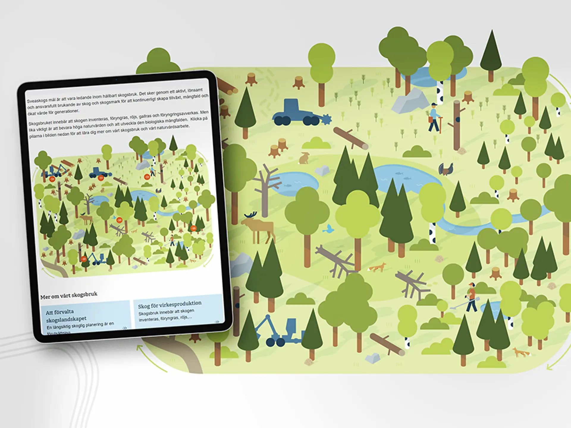 Mockup över illustration av skogsbruk